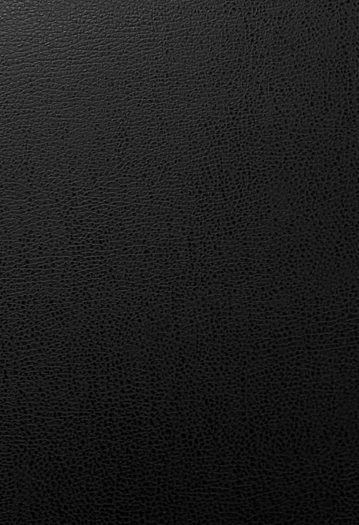 black-leather