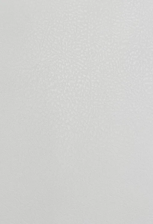 white-leather