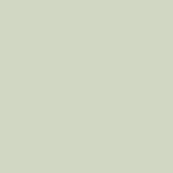 Pastel Pistachio Green